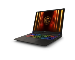 MSI Vector 16 HX AI A2XW Ultra 9 275HX RTX 5070Ti 2.5К 240 Hz 16 Гб 1 Тб