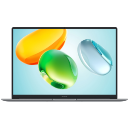 Ноутбук Honor MagicBook X 16 2025 Intel Core Ultra 5 125H 24 Гб 1 Тб 2.5K 120 Hz