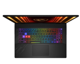 MSI Crosshair A17 HX D8W Ryzen 7 8840HX RTX 5060 2.5К 240 Hz 16 Гб 1 Тб